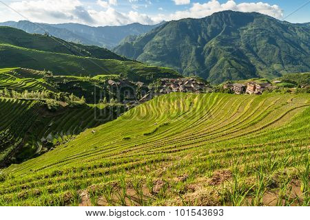 Longsheng rice terraces guilin china landscape