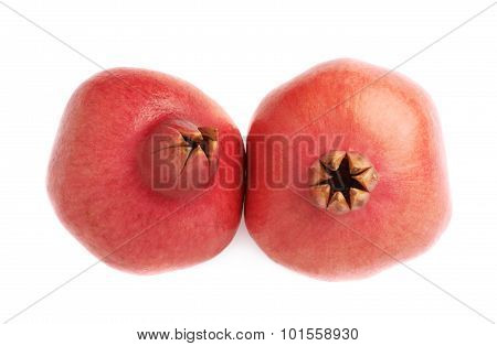 Two pomegranate composition isolated