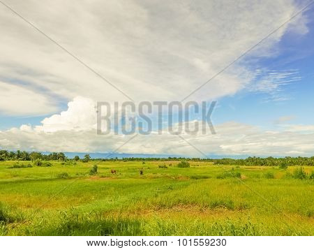 Rural Landscape In Tanzania