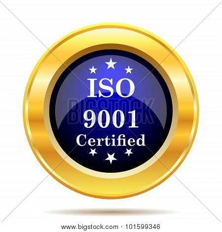 Iso9001 Icon
