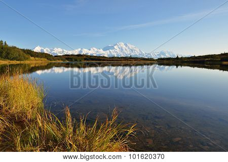Denali Mountain And Reflection Pond