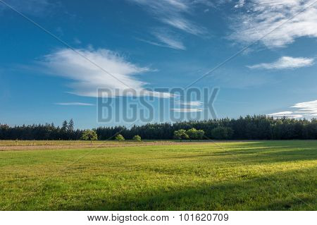 Amazing Summer Morning In Nature