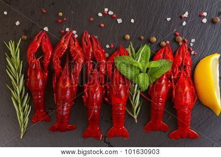 Crayfish