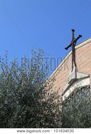 Olive Tree With The Cross Of A Christian Church