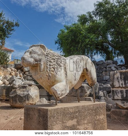 Statue Lion In Didim