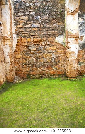 Chellah  In        Africa        Deteriorated Monument And Site