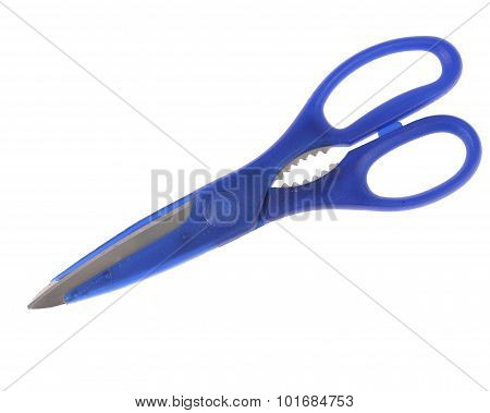 Blue Itchen Scissors