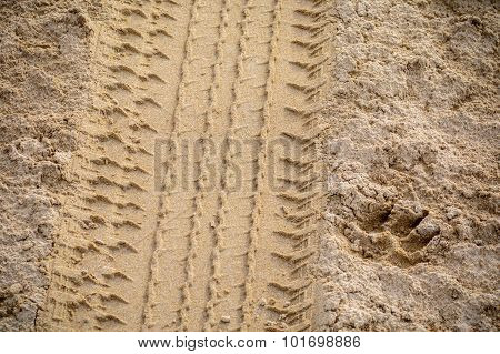 Tyre And Gog Footprint In The Soft And Golden Sand
