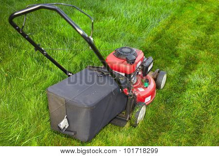 Lawn mower cutting green grass. Work in the garden.