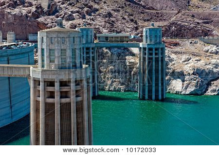 Hoover Dam roślin
