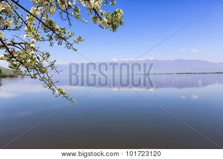 Kerkini Lake And Mountain Eco-area At North Greece By Struma River