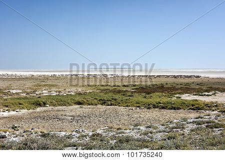 Etosha Salt Pan - Namibia