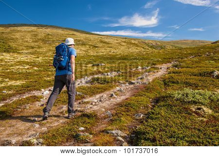 hiker with backpack traveling in Norway mountains Dovre