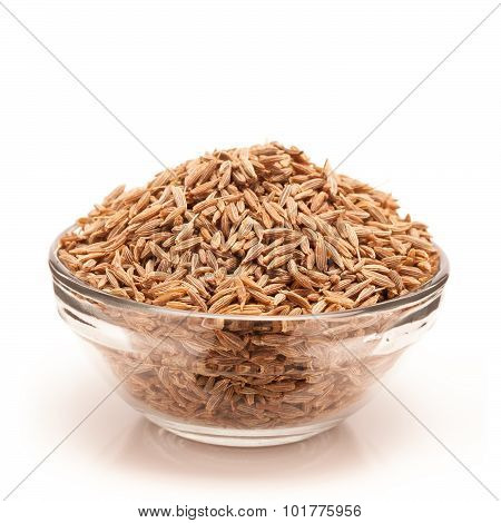 Organic Cumin seed in bowl front view.