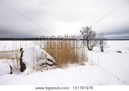 Finsky gulf of the Baltic sea in winter, the town of Vyborg, Russia