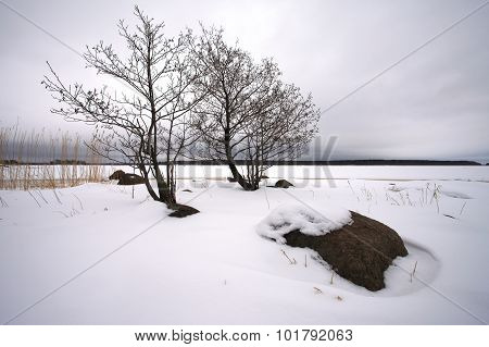 Finsky gulf of the Baltic sea in winter
