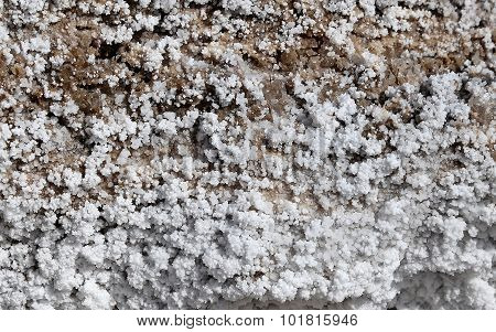 Salt Crystallisation At Coast Of The Dead Sea, Jordan