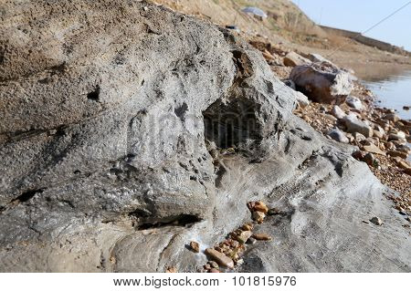 Salt Crystallisation At Coast Of The Dead Sea, Jordan