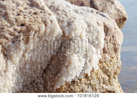 Dead Sea Salt At Jordan