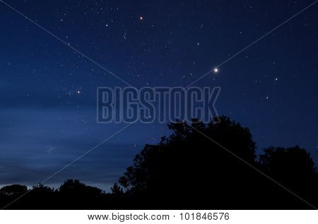 The Polaris star and night sky with trees skyline.