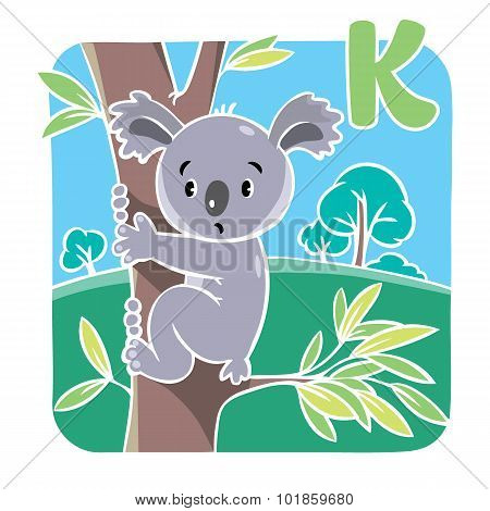 Funny koala. Alphabet K