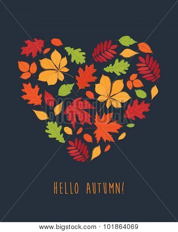 Hello autumn!