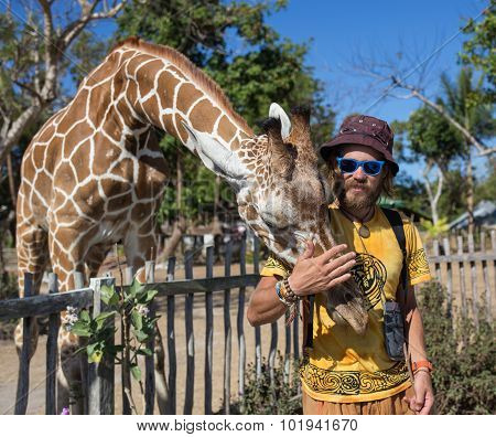 Giraffes in Kruger park South Africa