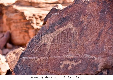 Bushman Rock Engravings - Namibia