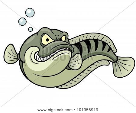 Snakehead Fish