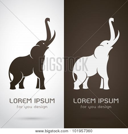 Vector Image Of An Elephant Design On White Background And Brown Background, Logo, Symbol