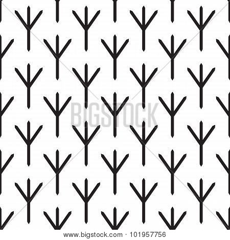 Pattern With Bird Paw Prints