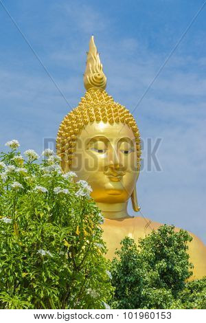 Big Golden Buddha Statue