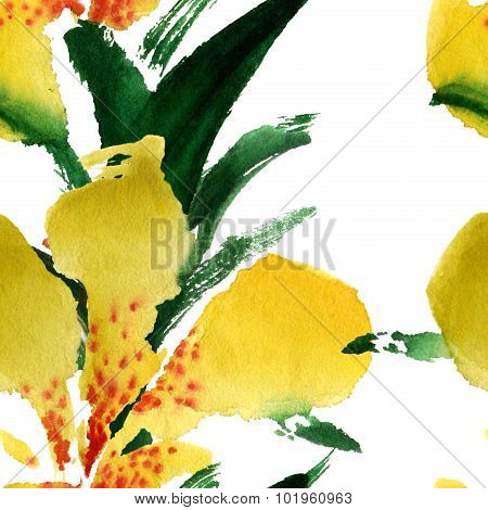 Iris
