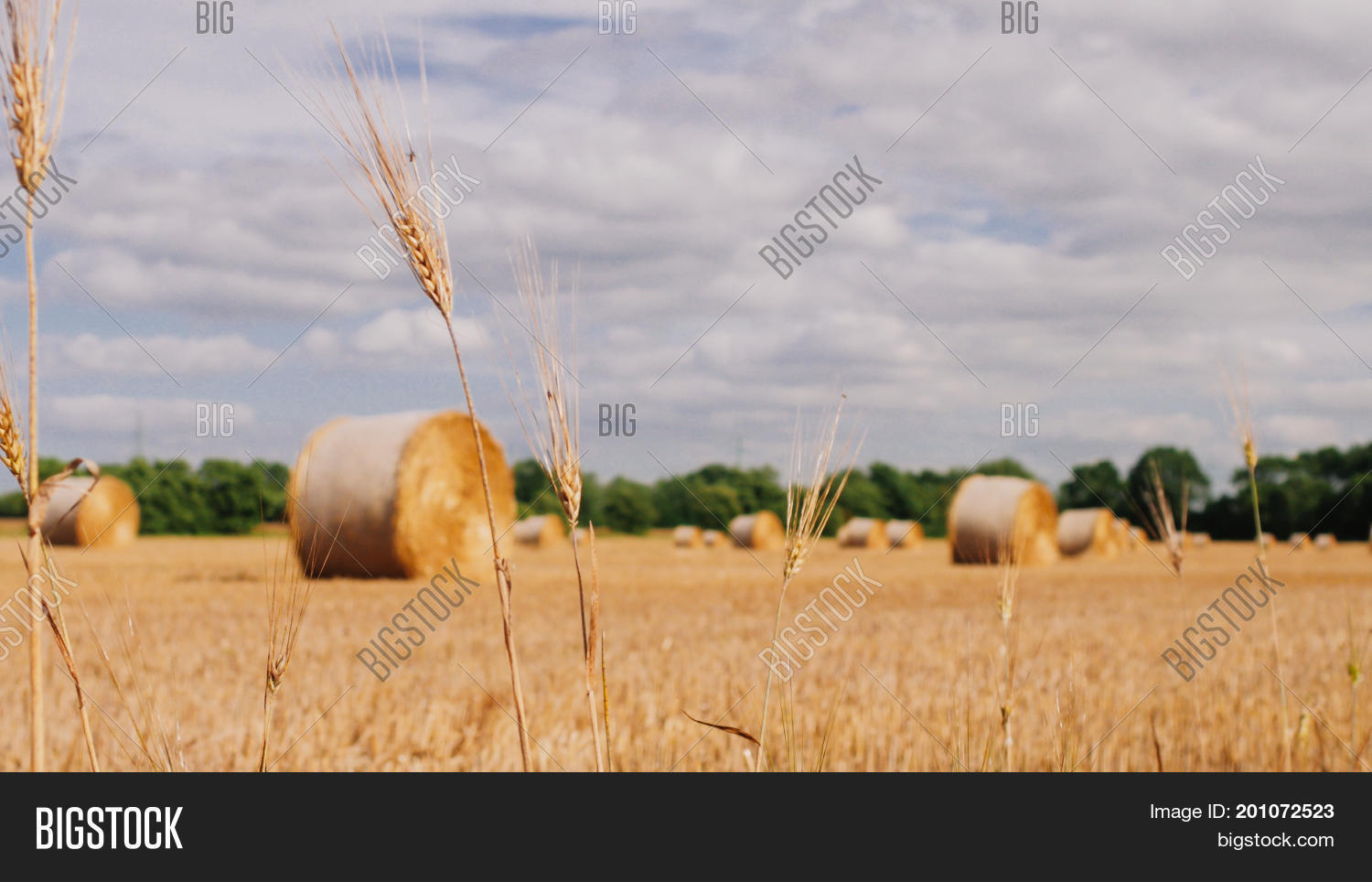 Bales Hay Wheat Field Image & Photo (Free Trial) Bigstock