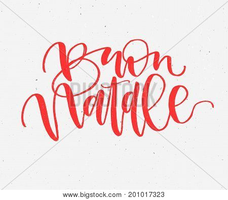 Buon Natale. Merry Christmas handwritten calligraphy in Italian. Greeting red typography on gray background. Vector Illustration hand drawn Lettering.