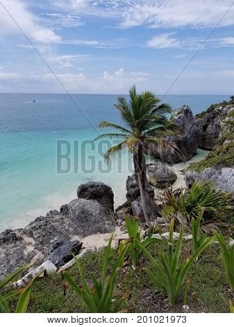 image took for beach in Cancun, mexico