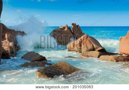Sunlit Sea Foam Rocky Beach 