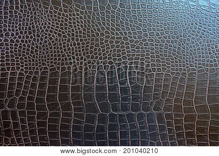 Violet spotted crocodile leather background. Alligator fashionable skin surface, natural material texture