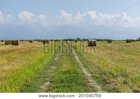 Country road and round straw bales waiting in the fields.Round bales of straw on cut grain field. Round straw bales in harvested fields and blue sky with clouds.