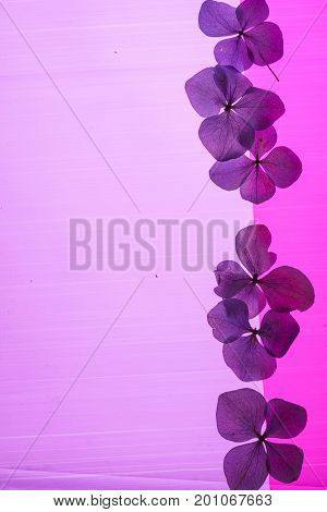 froral composition