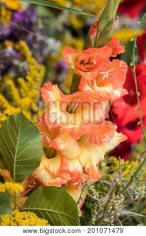 handmade beautiful bouquets from flowers and herbs