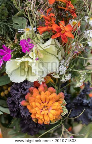 handmade beautiful bouquets from flowers and herbs