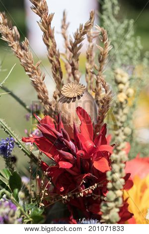 handmade beautiful bouquets from flowers and herbs