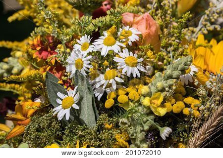 handmade beautiful bouquets from flowers and herbs
