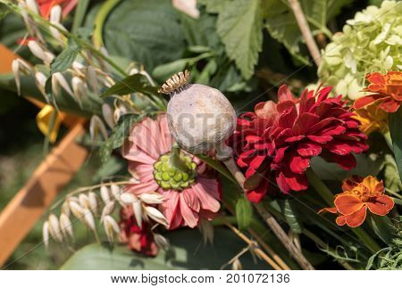 handmade beautiful bouquets from flowers and herbs