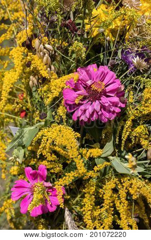 handmade beautiful bouquets from flowers and herbs