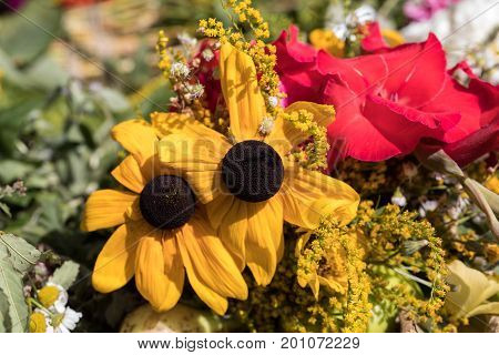 handmade beautiful bouquets from flowers and herbs