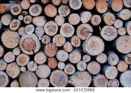 Wood texture background for interior, exterior or industrial construction concept design.
