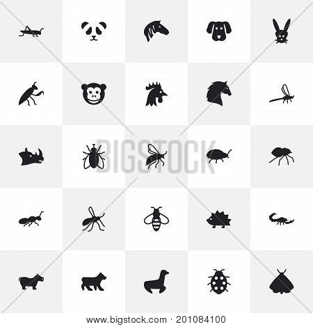 Collection Of Herculeanus, Grasshopper, Fly And Other Elements.  Set Of 25 Alive Icons Set.