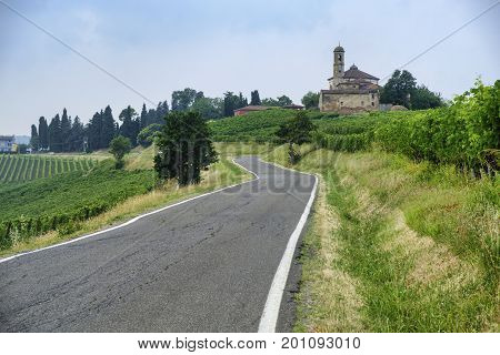 Rural landscape at summertime along the road from Ganaghello to Vicobarone (Piacenza Emilia Romagna Italy) in the Tidone valley. Vineyards